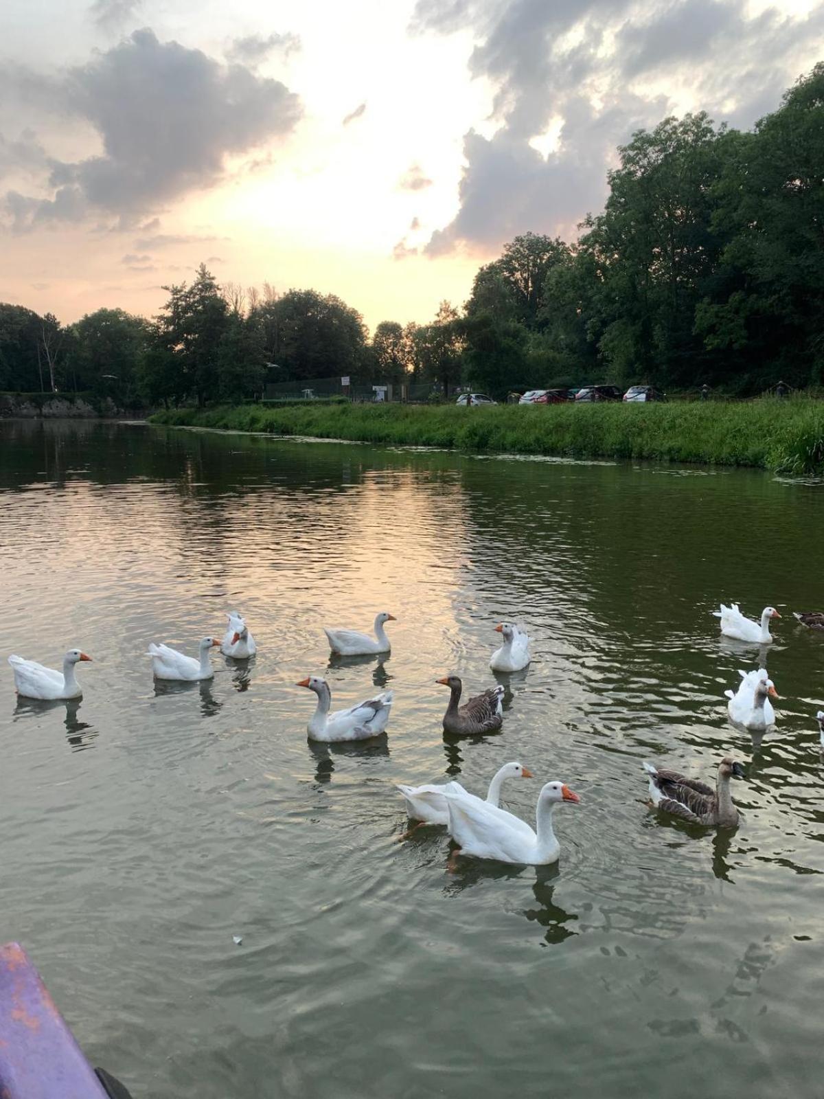 Nuit Insolite A Bord D'Une Peniche, 6 Personnes Bergues Eksteriør billede